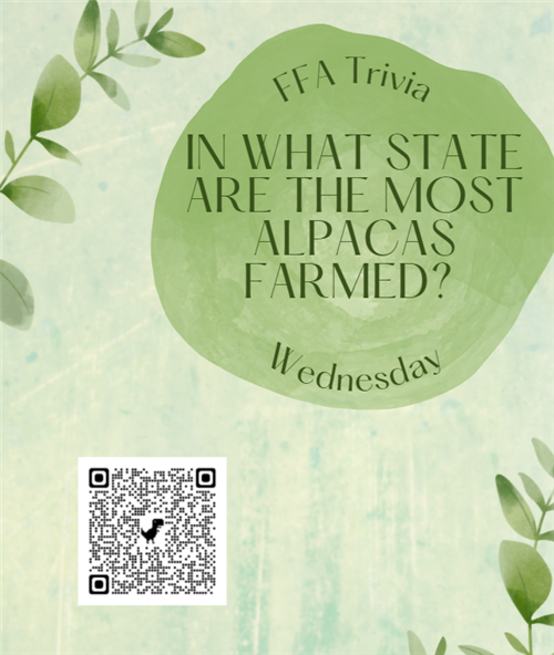 Click to answer.